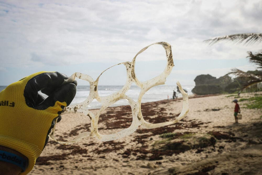 Grass circles in sand