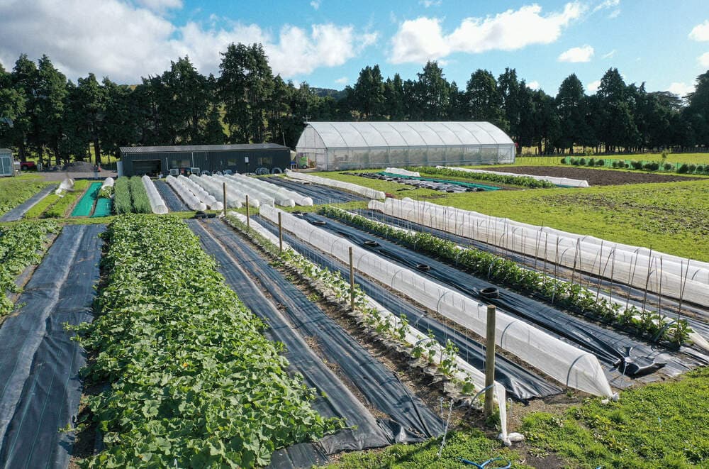 Greenhouse and fields